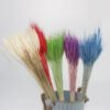 Multicolor dried dry wheat flower