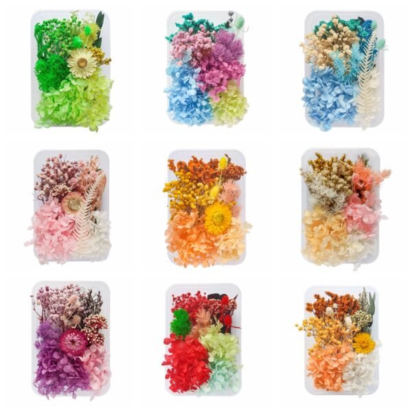 Multistyle diy preserved dried flowers material pack box