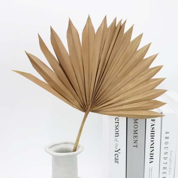 dry natural color sun palm leaf flower