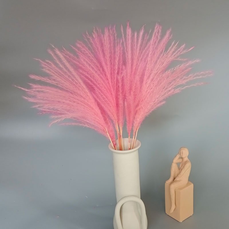 pink small pampas grass