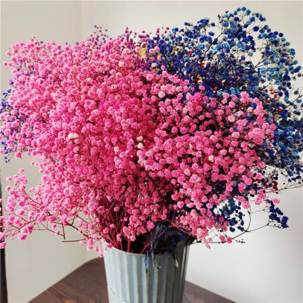 3hlink Multicolor preserved babybreath Gypsophila flower