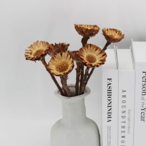 natural dried preserved Africa Chrysanthemum floral arrangement