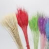 3hlink Multicolor dried dry wheat flower