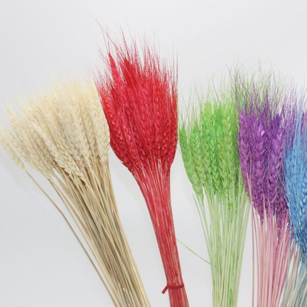 3hlink Multicolor dried dry wheat flower