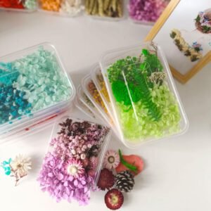 Multicolor diy preserved dried flowers material pack box