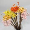 3HLINK dry Multicolor Mini star Daisy Flowers