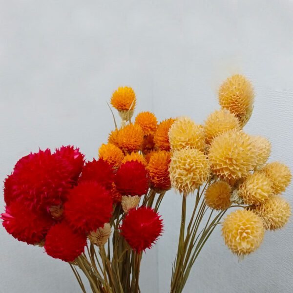 Multicolor wheat-straw with gomphrena globosa