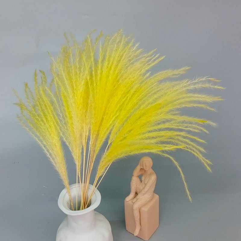 light yellow pampas