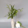 dark green Sea Oats Preserved Chasmanthium Latifolium flower for arrangement