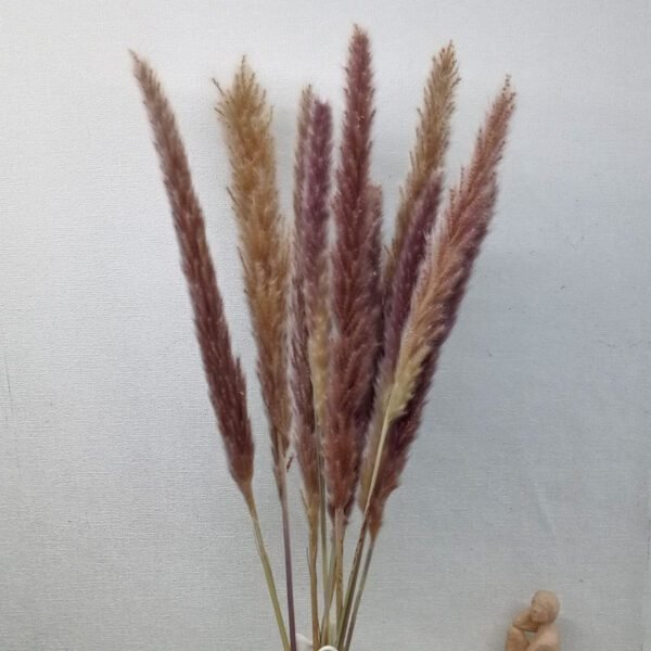 3hlink natural brown small pampas