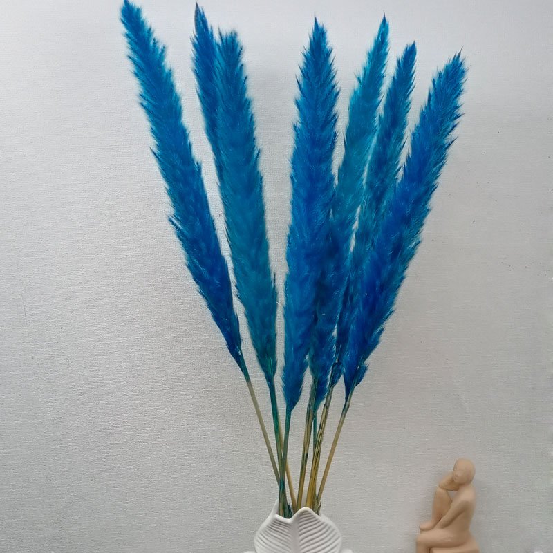 3hlink blue small pampas grass