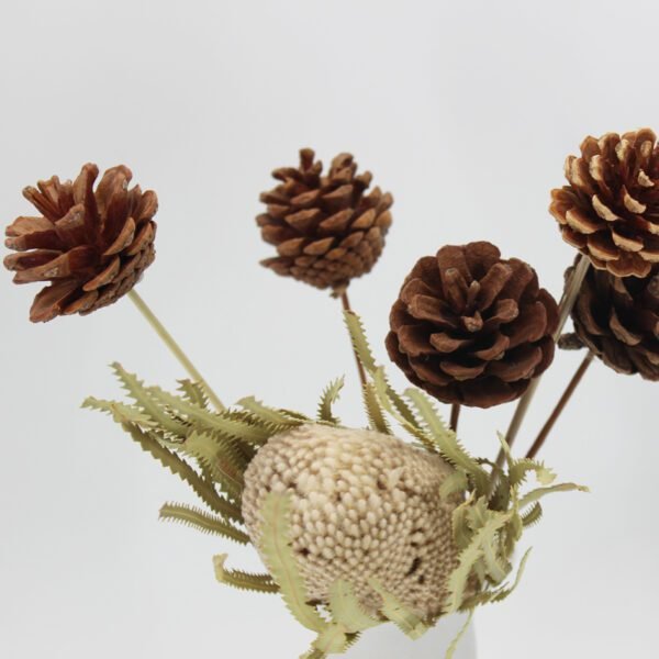 dry banksia flower