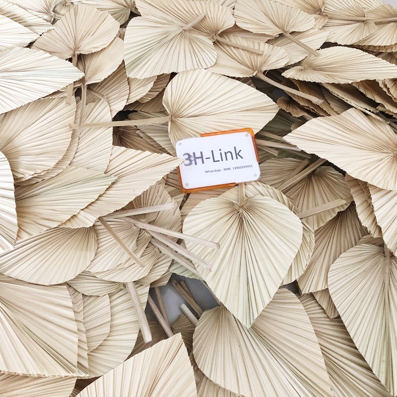 3hlink dry preserved natural heart shape beige palm leaf