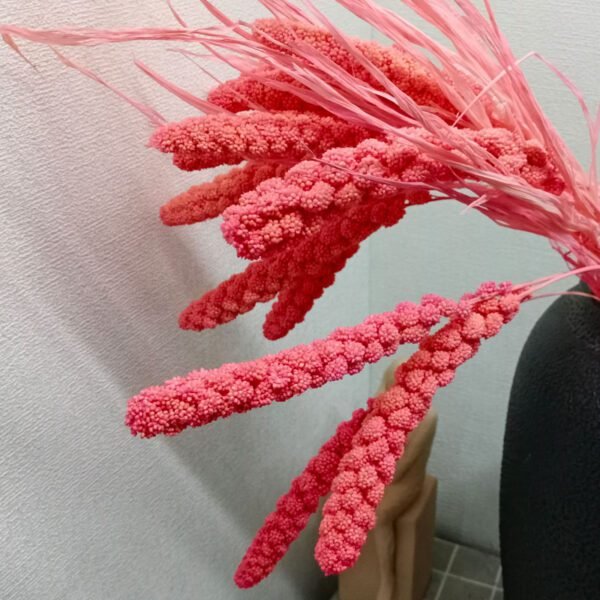 pink bleach preserved millet flower decor