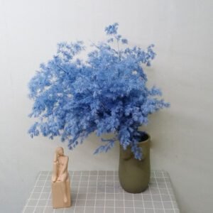 Sky Blue preserved Asparagus myriocladus flower