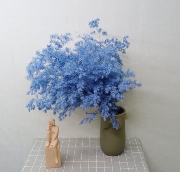 Sky Blue preserved Asparagus myriocladus flower