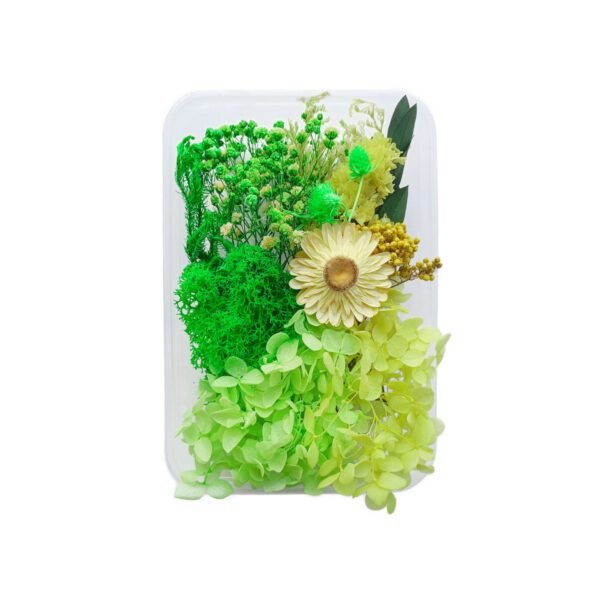 3hlink green diy preserved dried flowers material pack box