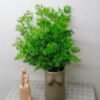 3HLINk dry preserved green Asparagus myriocladus flower