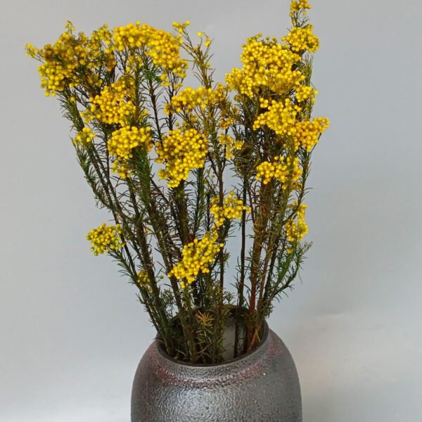 Yellow millet rice flower