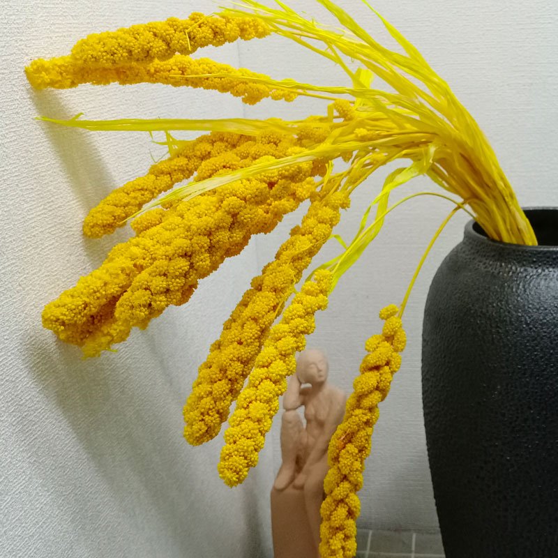 yellow bleach preserved millet flower decor