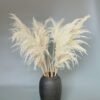 3hlink white bleach pampas grass
