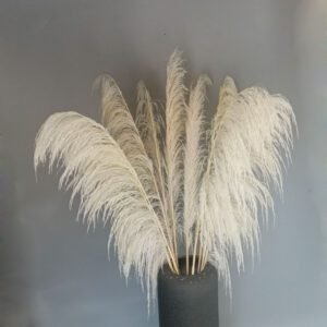 3hlink white big pampas grass decor