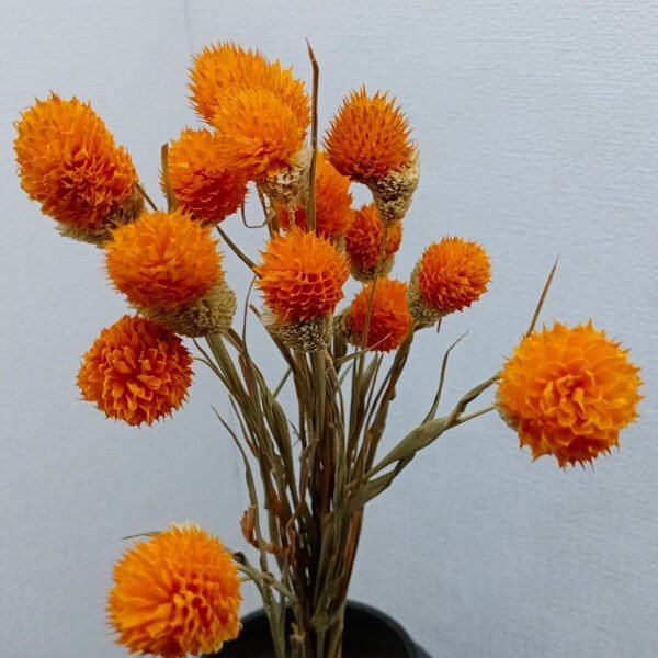 orange dry hand made wheat-straw with gomphrena globosa