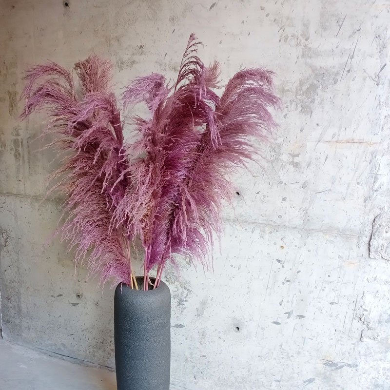 3HLINK purple preserved pampas grass