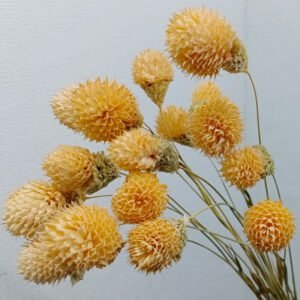 3HLINK yellow dry hand made wheat-straw with gomphrena globosa