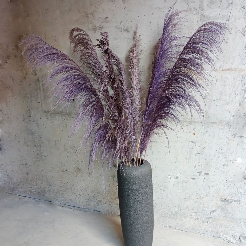 purple preserved pampasgrass for arrangement