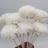 household air fresher artificial ricepaper chrysanthemum flowers