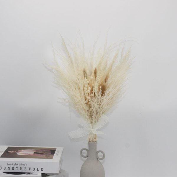 3HLINk white preserved dried small pampas grass flower bouquet for arrangement