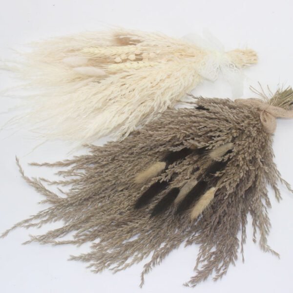 3HLINK naturalpreserved dried small pampas grass flower bouquet