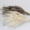 preserved dried small pampas grass flower bouquet