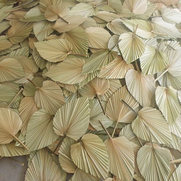 3hlink natural palm leaves bulk product