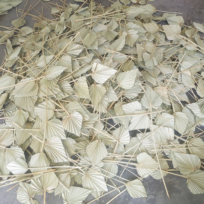 small dry palm leaf decor