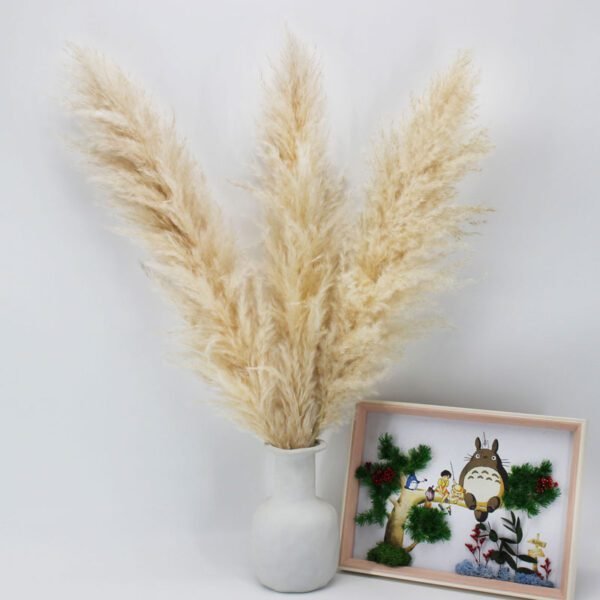 3HLINK dry preserved big fluffy natural beige tall pampasgrass arrangement in vase