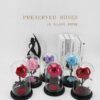3HLINk prince preseved big rose in glass dome cover