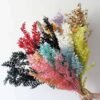 3HLINK factory holds colorful and beautiful dried preserved flowers and rich leaves ruscus for display