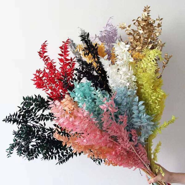 3HLINK factory holds colorful and beautiful dried preserved flowers and rich leaves ruscus for display