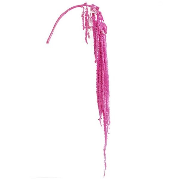 3HLINK pink color hanging rice amaranth amaranthus preserved floral