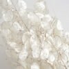 3HLINK Handheld Dried Flower Lunaria Leaf White Background Real Scene Detail