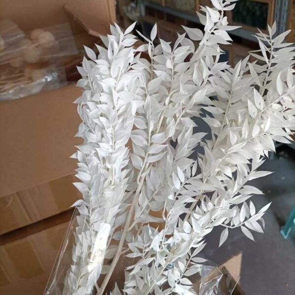 3HLINK White Rich Leaf Dried Flower Ruscus Eternal Flower