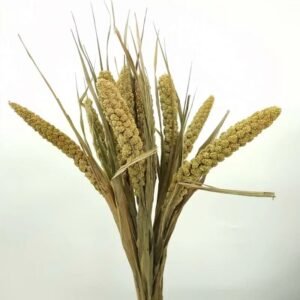 3HLINK preserved dried dry natural millet flower