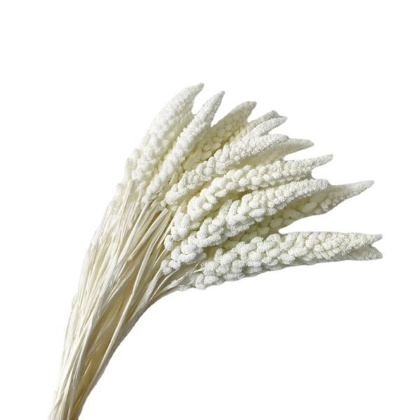 white bleach preserved millet flower decor