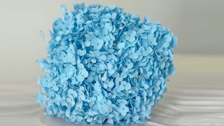 The Use of Preserved and Dried Hydrangea Wholesale