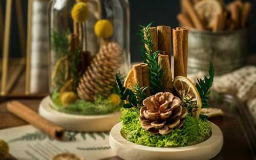 This is a glass cover dried flowers wholesale craft made of cinnamon, lemon, pine cones and everlasting moss category.