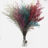 Natural Dried Lover Grass