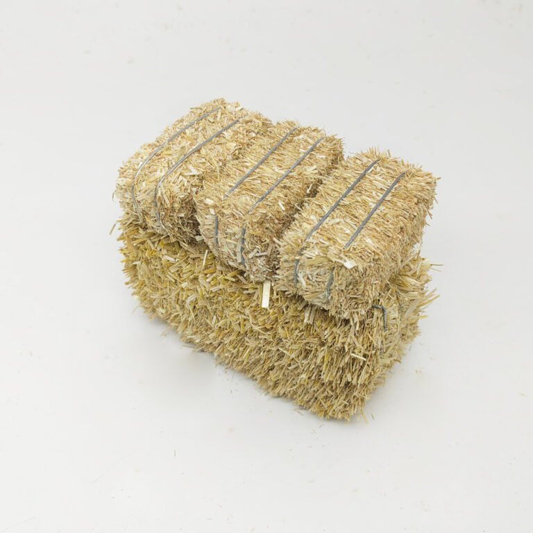 Why Mini Hay Bales Are Stealing the Show on Amazon 🎯