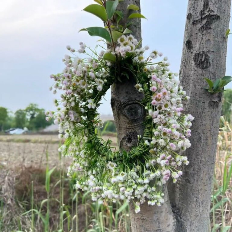 How to Make a Daisy Flower Crown with Real Flowers